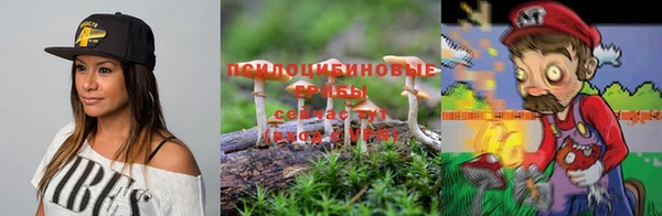 дмт Аркадак