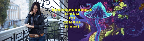 стаф Баксан
