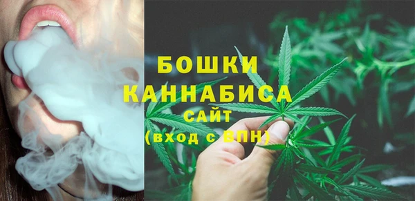 дурь Арсеньев